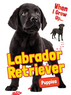 cover image of Labrador Retriever Puppies